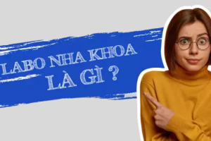 Vai Trò Của Labo Răng Sứ Trong Quy Trình Làm Răng